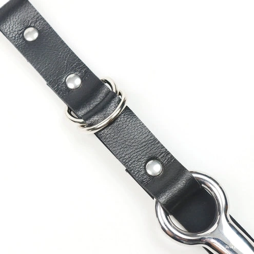 with Hook Anal 5853 Collar Leash Kinky and EverydayUse 1222